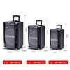 Malata L12 Professional Portable Bluetooth Speaker with Dual Wireless Microphones (CN Version)