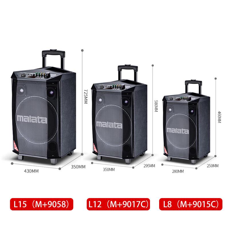 Malata L12 Professional Portable Bluetooth Speaker with Dual Wireless Microphones (CN Version)