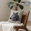1pc Throw Pillow Covers, Gray Cat Pattern Short Plush Pillowcase, Perfect for Patio Furniture Cushions, Office Decor, Living Room Decor
