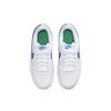 Nike Court Borough Low 2 GS White Photo Blue Dětské tenisky Pure-Platinum Stadium-Green BQ5448-123