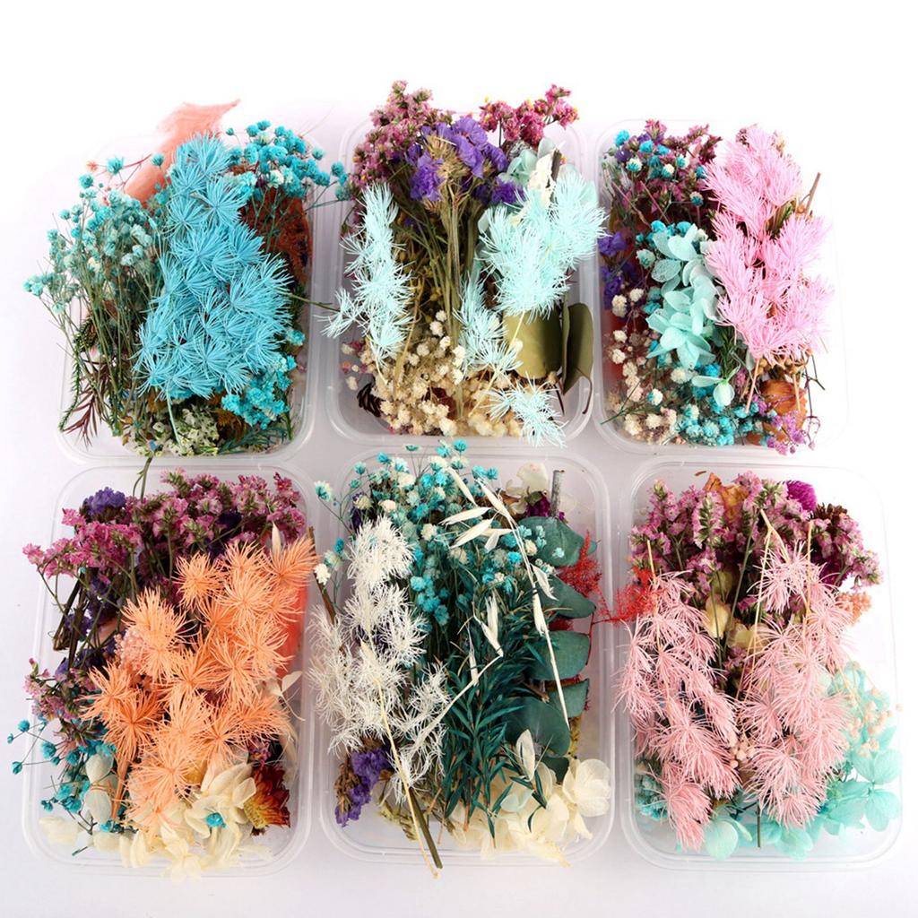 Gemischte Trockenblumen für Scrapbooking Seifen- und Kerzenherstellung Dekoration DIY Bastelbedarf
