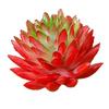 Artificial Succulent Artificial Decor Mini Realistic