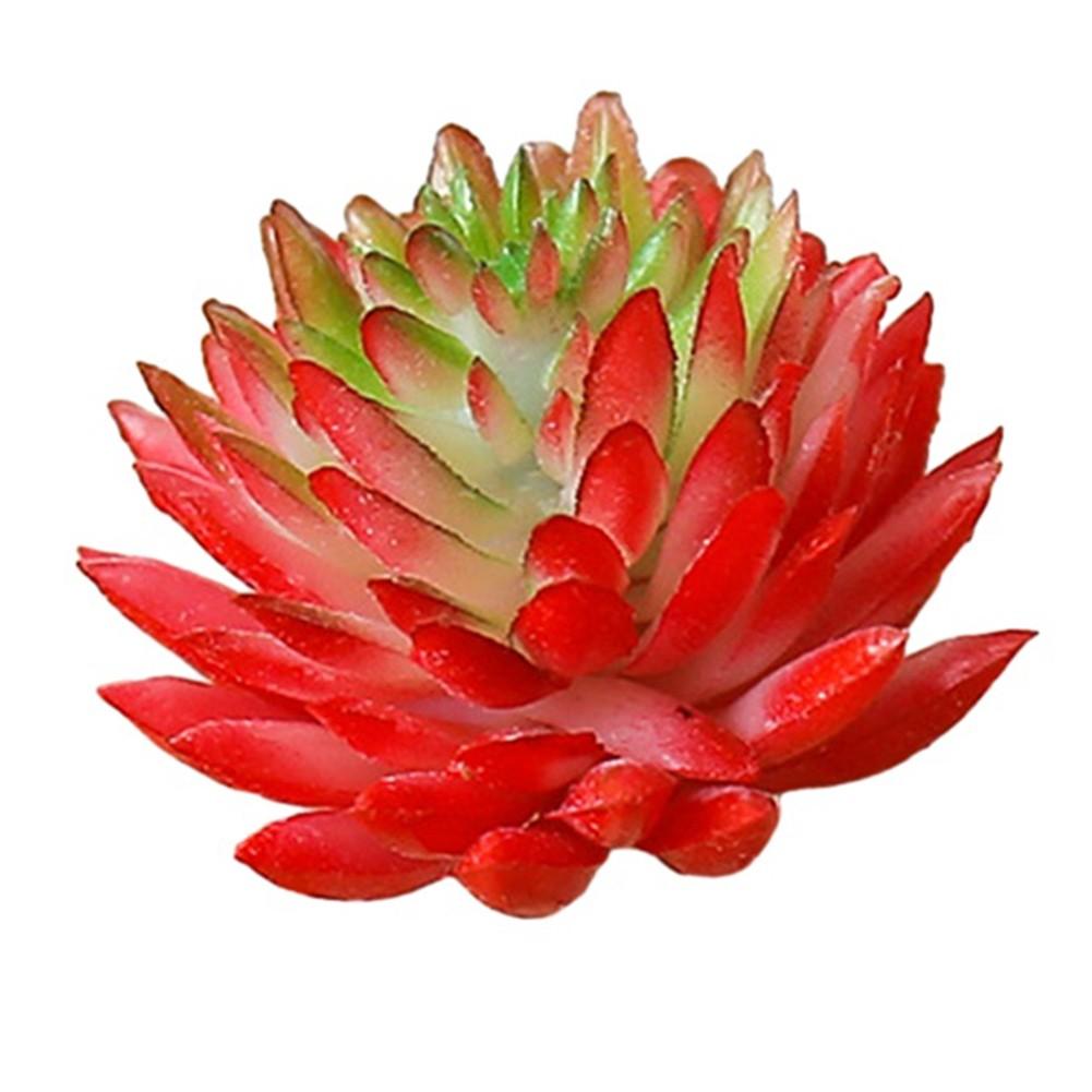 

Искусственный Суккулент Искусственный Декор Мини Реалистичный амарантовый