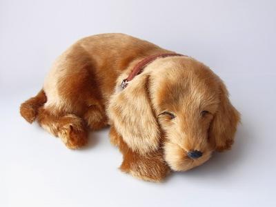 Ninian und Kino Perfect Pet (Kleine Größe) Dackel glatt (rot) Kuscheltier Hund Realistischer Dackel-Look Dackelwaren Tierheilkunde