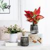 Water Storage Flowerpot Self Watering Pots for Indoor Plants Small Plastic Planter Modern Wicking Flower Pot with Wick Rope And Reservoir Violets