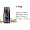 MAYJAM 10ml/30ml/100ml Thyme Pure Plant Extract Essential Oil Anti-Loss of Hair Enhance Memory Help Blood Circulation Natural Aroma Oil