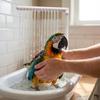 Automatic Bird Bath Fountain USB Submersible Pump NEW Parrot Bathing Pump