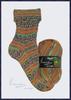 Opal Van Gogh Sock Yarn 5436, Gauguin's Chair, Orange-Brown Multicolor