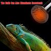 220V Infrared Ceramic Emitter Heat Light Lamp Bulb For Reptile Pet Brooder