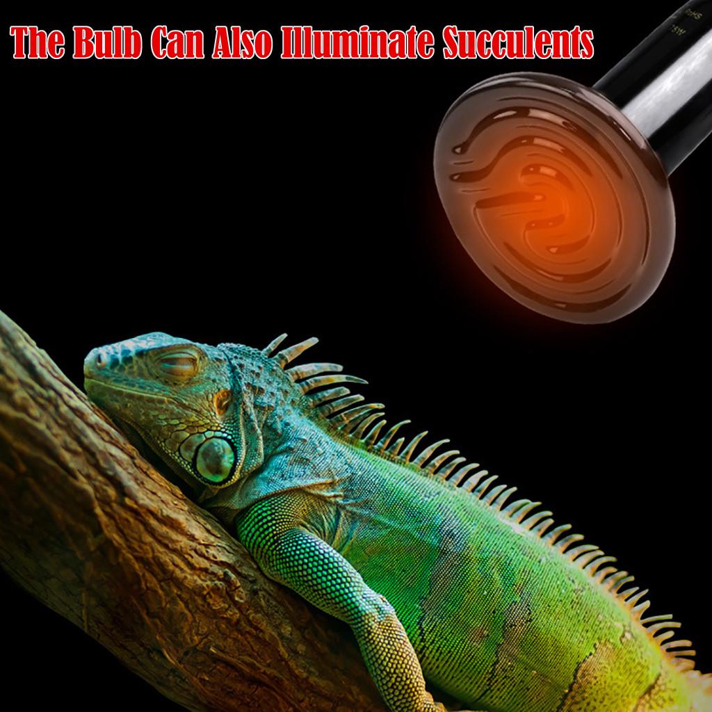 220V Infrared Ceramic Emitter Heat Light Lamp Bulb For Reptile Pet Brooder