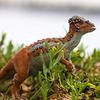 Safari Pachycephalosaurus Dinosaur Figure 100350