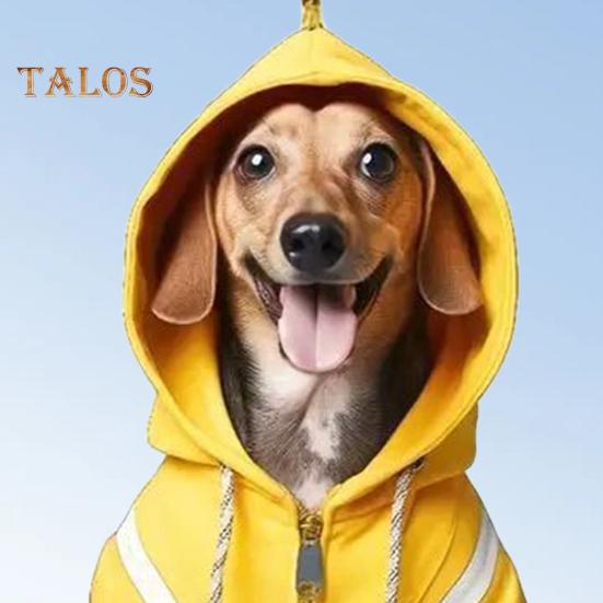 Ornament acrilic cu pandantiv pentru mașină pentru câine, farmec drăguț pentru mașină de Crăciun, ornament festiv pentru agățat pentru copaci, ferestre, uși