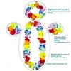 5Pcs Simulation Leaf Complete Dance Outfit Unisex Beach Party Wear  Hawaiian Themed Events
