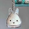 Scatola Trasparente per Ricordi di Pelo di Animale Cartone Animato Portachiavi Organizzatore in Pelliccia di Animale Carino Coniglio Portachiavi Ciondolo Borsa Souvenir per Animali