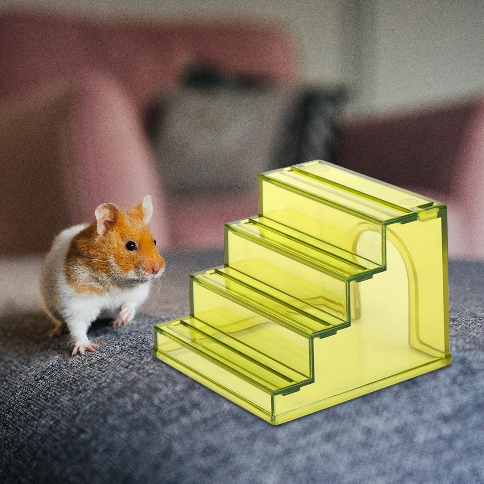 

Забавное лазание хомяка для маленьких питомцев зелёный