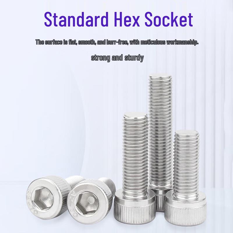 Datu 304 Stainless Steel Hex Socket Screw