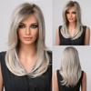 ALAN EATON Ash Grey Brown Mixed Synthetic Wigs for Women Long Straight Middle Part Hair Wigs Daily Cosplay Use Heat Resistant