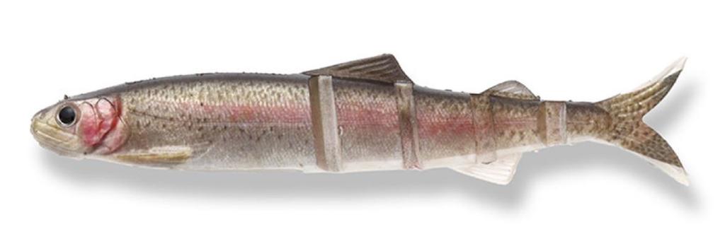 Imakatsu Soft Lure Javallon 150mm 3DR 4/pack S-485 (8238)