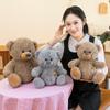 Romi Teddy Bear: Adorable Plush Toy for Kids' Birthdays, Girls' Hugs, and Companionship