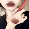 Chocolate Brown! Light European and American Style Earthy Brown Coffee Color Lipstick Lip Glaze Black Rabbit Macaron Lip Mud 12