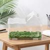 Transparent Pet Breeding Container Magnetic Reptile Habitat Box  For Gecko Turtle Lizards