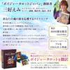 Voyager Tarot Mini Japanese Instruction Manual with Pouch