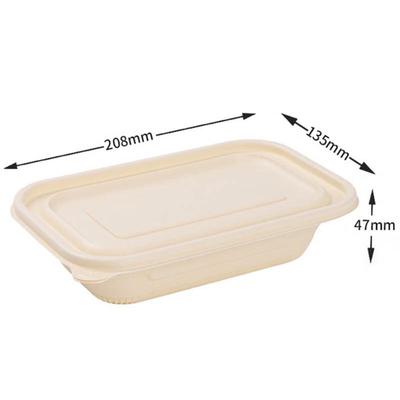 Disposable Corn Starch Lunch Box