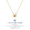July Birthstone 18K Yellow Gold Ruby Necklace for Birthday Includes Jewelry Case 4.C. (112521123010) Women, Gift,