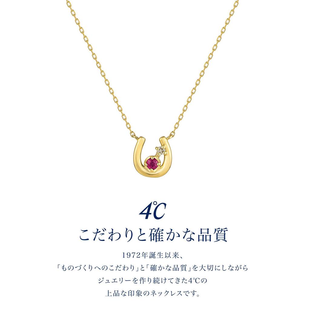 July Birthstone 18K Yellow Gold Ruby Necklace for Birthday Includes Jewelry Case 4.C. (112521123010) Women, Gift,