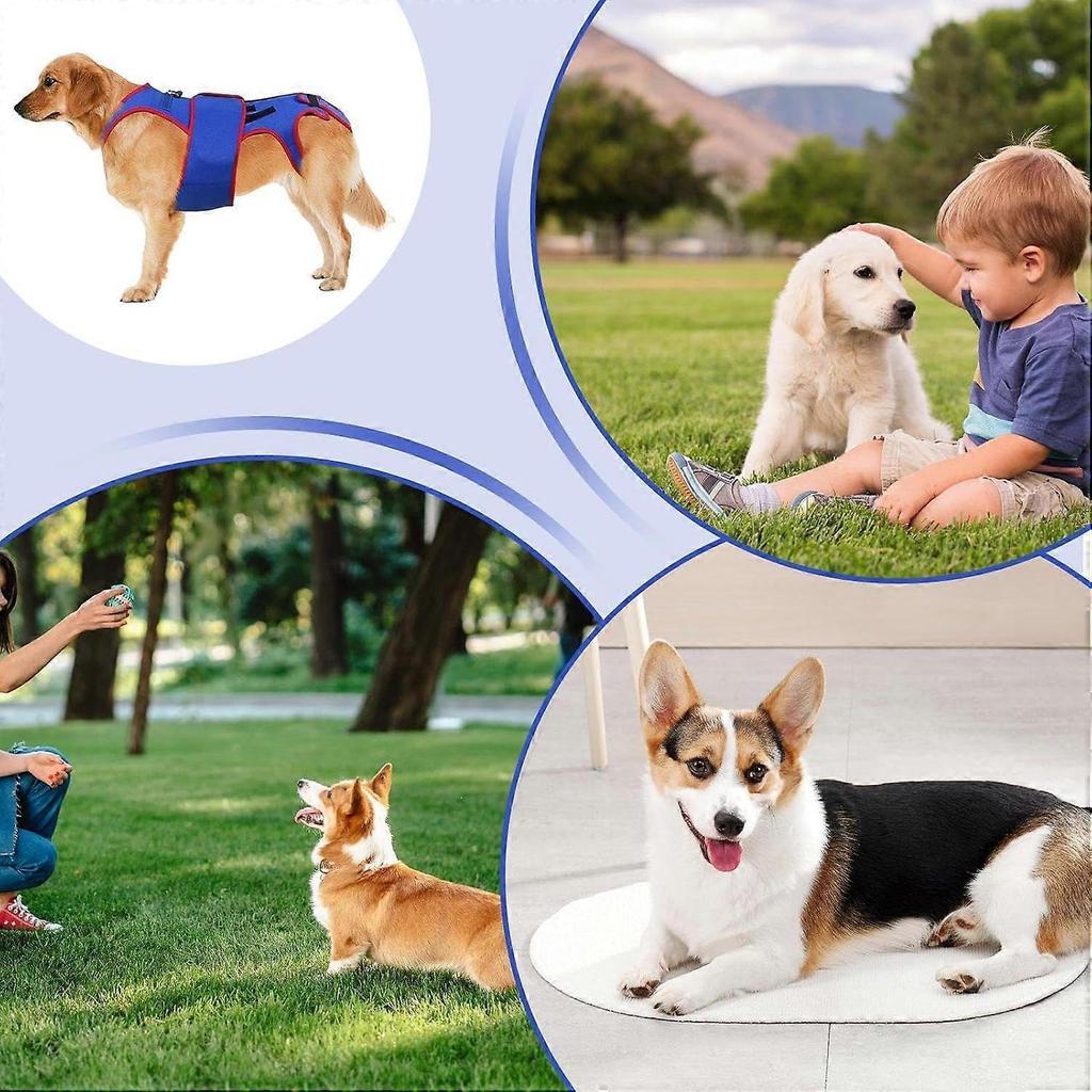 Back for Dogs - IVDD Support Harness for Rehabilitation, Adjustable Size, Durable Material, Lightweight Design