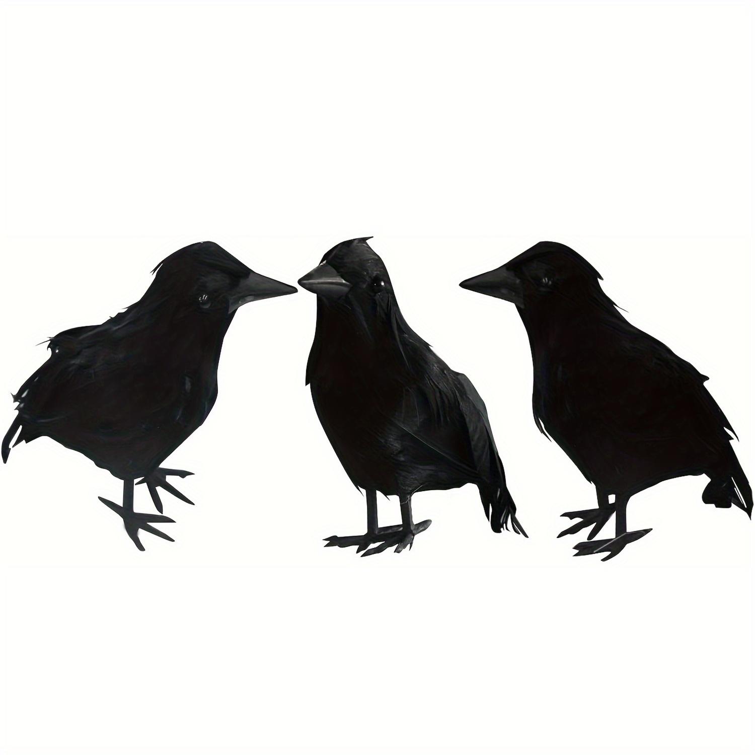 

Набор из 3 реалистичных черных воронов с реалистичными искусственными перьями | Аутентичный винтажный стиль, реквизит для декора вечеринки ужасов на Хэллоуин