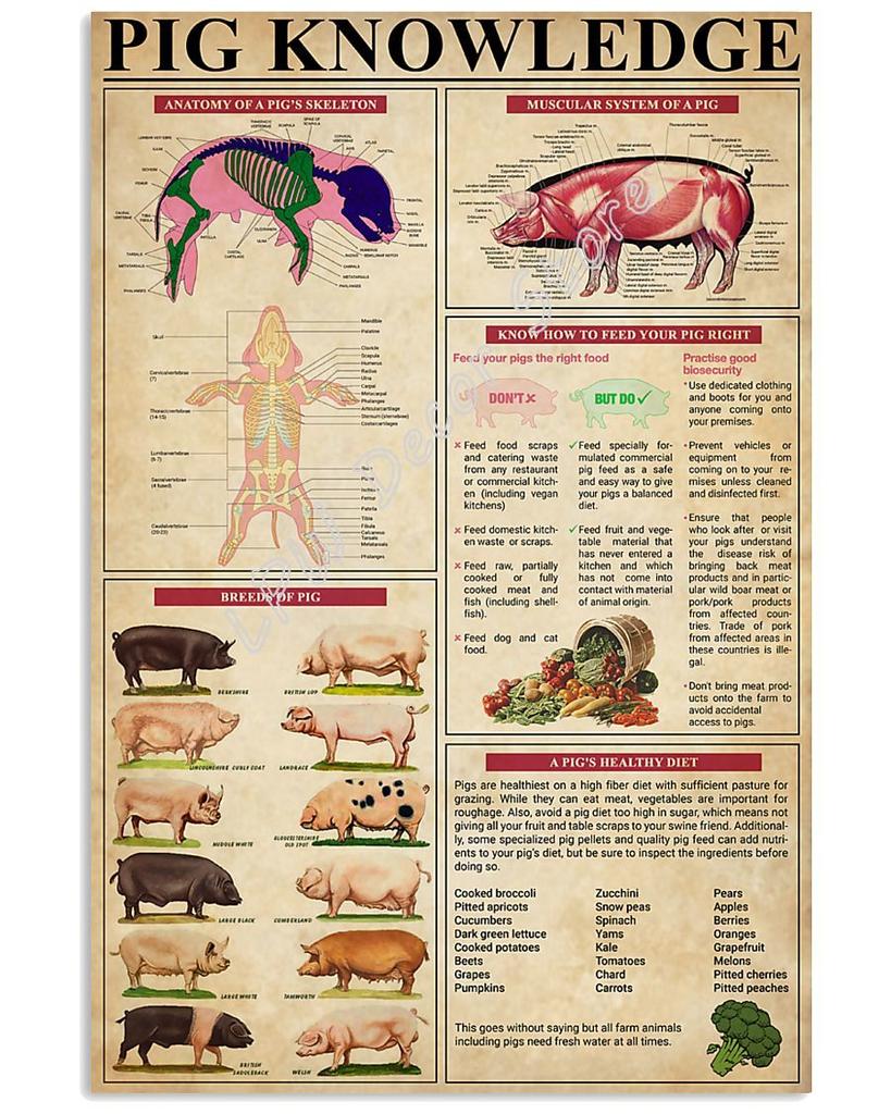 Vintage Metal Signs for Kitchen Wild Boar Knowledge Print Tin Wall Metal Sign Anniversary Birthday Christmas Housewarming Bar