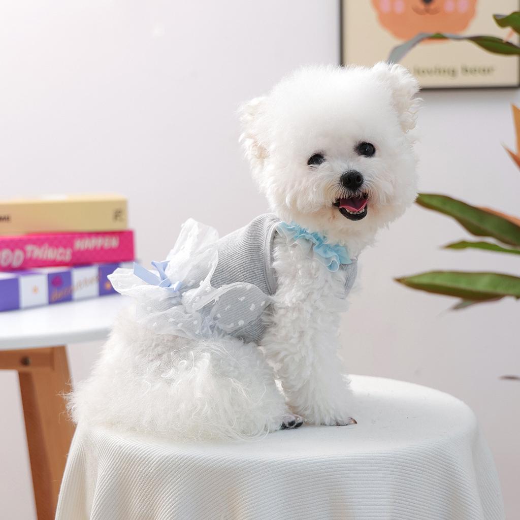 Pet Clothes Spring and Autumn Small Dog Puppy Happy Dog Cat Warm and Comfortable Clothing Seersucker Camisole