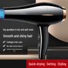 Shenbaolai Professional Hair Dryer