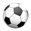 PVC Balloons Decoration 80/100/150cm Inflatable Soccer Beach Ball Volleyball Toys Beach Toys