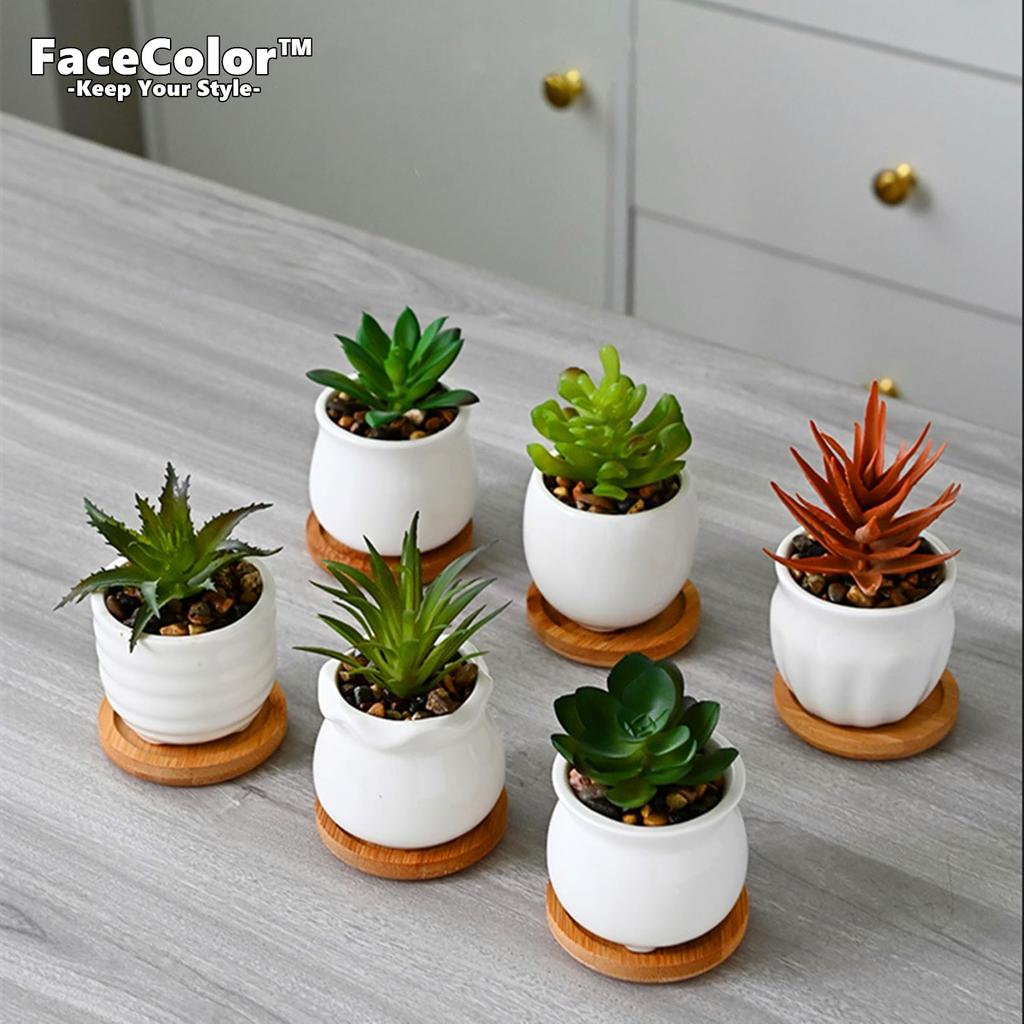 Facecolor Mini Ceramic Cactus Planter Ceramic Set of Succulent Flower Ceramic Succulent Small Planter Pots for Mini Suitable for Mini Bamboo Saucer
