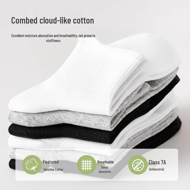 Women's 100% Cotton Antibacterial Mid-Calf Socks (6 Pairs)