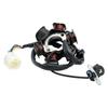 5-Wire Magneto Stator Generator For Kayo ATV Fox 70 Bull 125 Predator 150 Storm