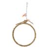 Bird Rope Perch Swing Safe Chewing Bite Resistant Hanging Ring Swing Toy for Budgie Cockatiels