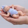 Cloveray 5-inch (12cm) Reborn Doll, Silicone, Full Body, Realistic Baby Doll, for Collection, Gift & Artificial Insulation (Blue)