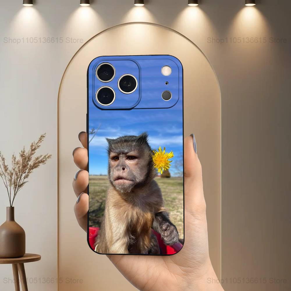 Emoticons Monkey Sipping For iPhone 13,16,11,14,17,12,15,Plus,Pro Max,XS,X,XR,SE,Mini,8,7,Phone Case Soft Silicone Black