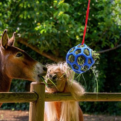 Paardenlekkernijbal Hooiruif Speelbal Hangend Voerspeelgoed Voor Paard Paard Geit Schaap Stress Verlichten Paardenlekkernijbal