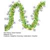 78.7" Soccer Tinsel Garland, Green And Gold Football Party Decoration with Soccer Cutouts for Event, Fan Cheering, Sports Birthday Party Supplies