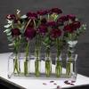Acrylic Test Tube Vase Set With Stand, Showcases Multiple Bouquets Decoration Unique Present (8/12Pcs Tubes)