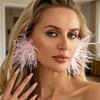 Long Feather Drop Earrings Eye Catching Decoration Ear Jewelry Suitable For Parties Concerts And Festive Celebrations