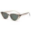 2026 European and American Cat Eye Polarized Sunglasses Trendy Men and Women Fashion Retro Sunglasses