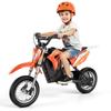 Hillmiles MileRocket 1 Kids E- Motorcycle 250W Motor 36V4AH  Battery 12-Inch Wear-Resistant Tires Safe and Stable Design To Meet Most Riding Needs