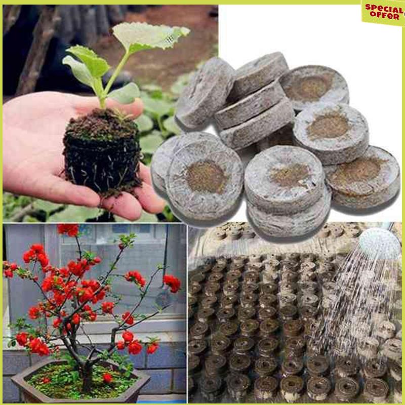 A34R 100Pcs Professional Peat Pellets Plant Starting Soil Block Jiffy Seedling Plugs Environmental Garden Nursery