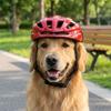 Nylon Strap Pet Helmet Breathable Cat Helmet New Dog Motorcycle Hat  Pet Headwear