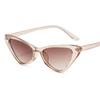 Trendy Sunglasses Women Colorful Square Punk Style Mirror Clear Lens Unique Fashion Eyewear Men